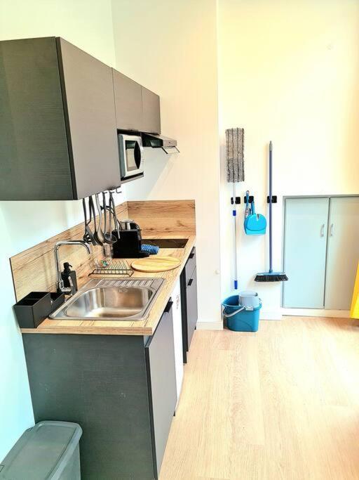 Le Cosy Central Moderne Et Chaleureux サン・テティエンヌ エクステリア 写真