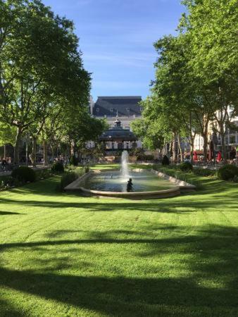 Le Cosy Central Moderne Et Chaleureux サン・テティエンヌ エクステリア 写真